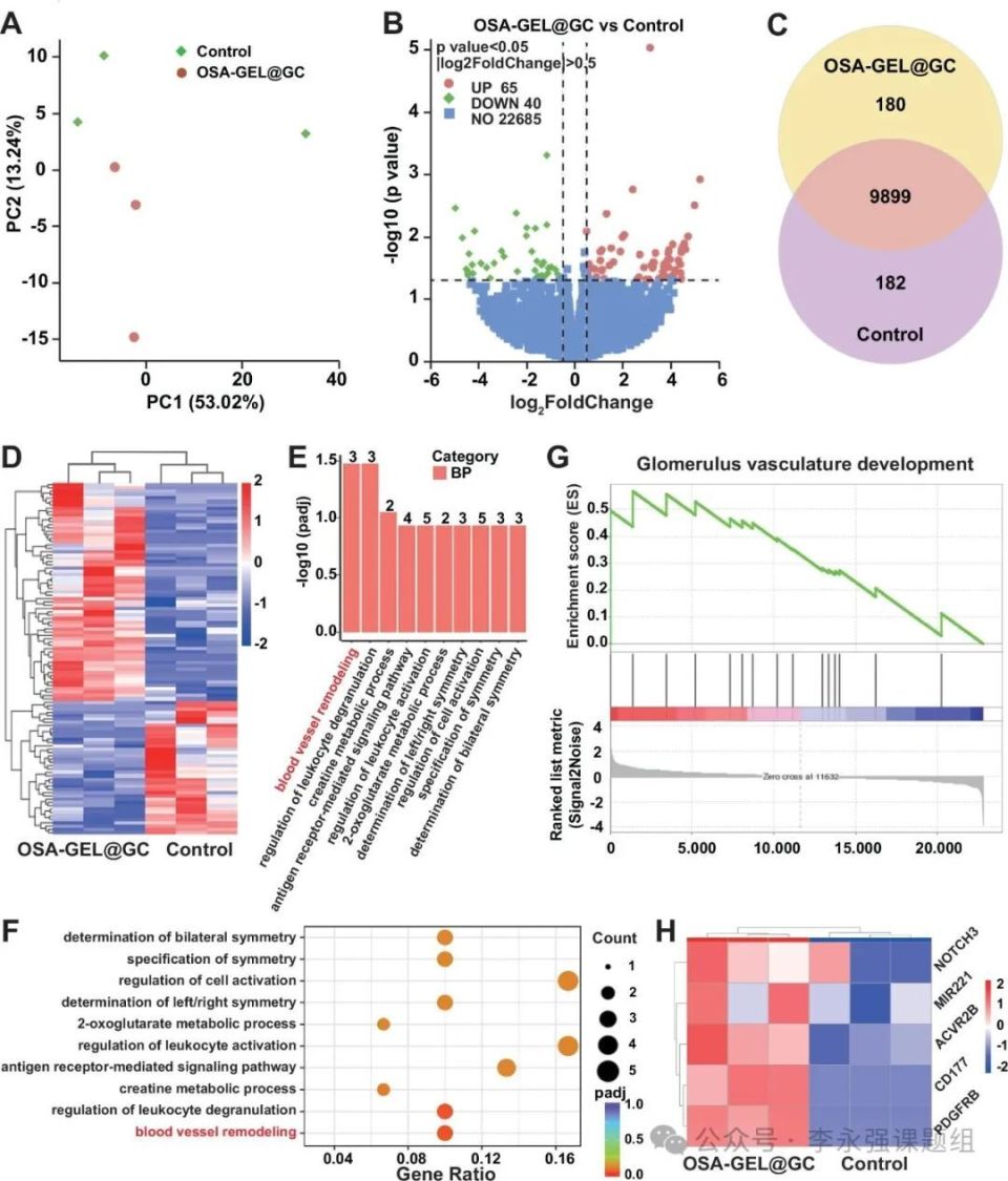 水凝胶伤口敷料怎么用《自然·通讯》微环境反馈调节水凝胶作为活性伤口愈合材料！_https://www.jmylbn.com_新闻资讯_第8张