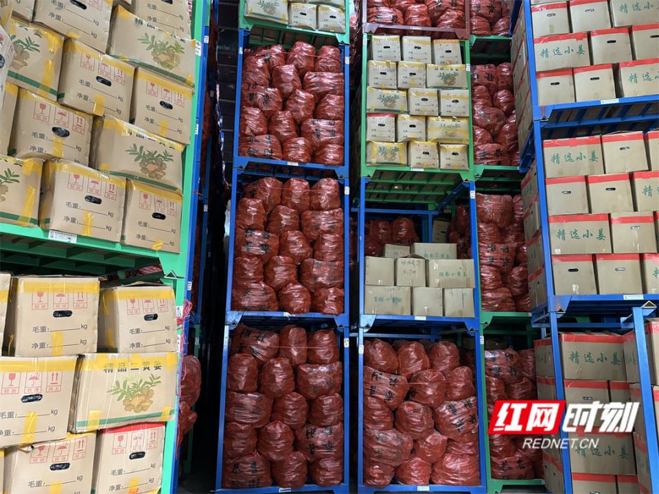 [南方生姜网-图片加载]