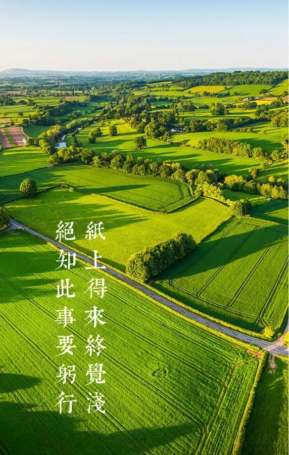 "畜"势待发!夏日里,奋力书写畜禽调查的最美诗篇