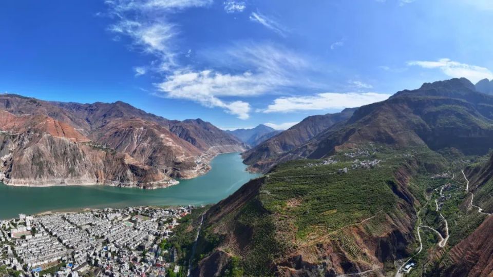 "永善枇杷"香飘国内外
