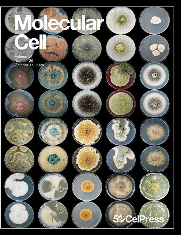 2024年10月，这些研究登上了Cell Press期刊封面！_腾讯新闻