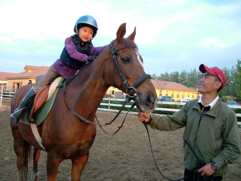 壁纸 动物 马 骑马 1000_750