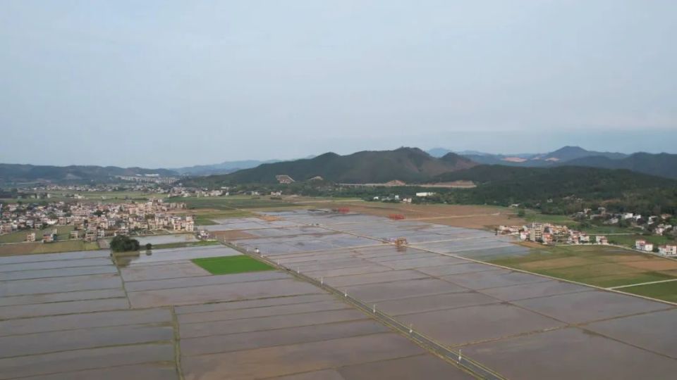 东源柳城镇:院士领衔种田,无人机"慧"春耕_腾讯新闻