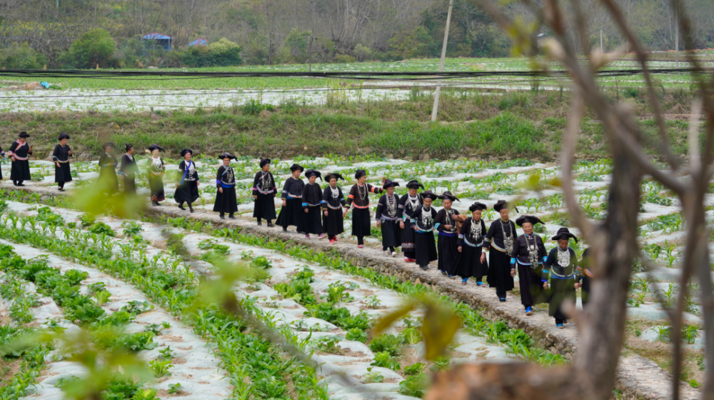 "好在"文山丨西畴:北回归线上的石漠绿洲之美