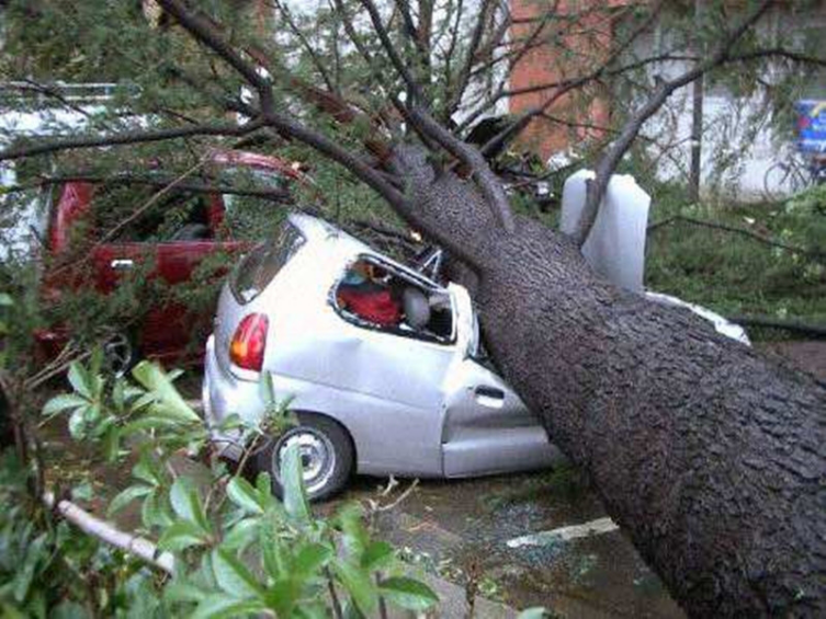 炎炎烈日 台风雷雨 滚烫路面……这些小妙招请收藏!