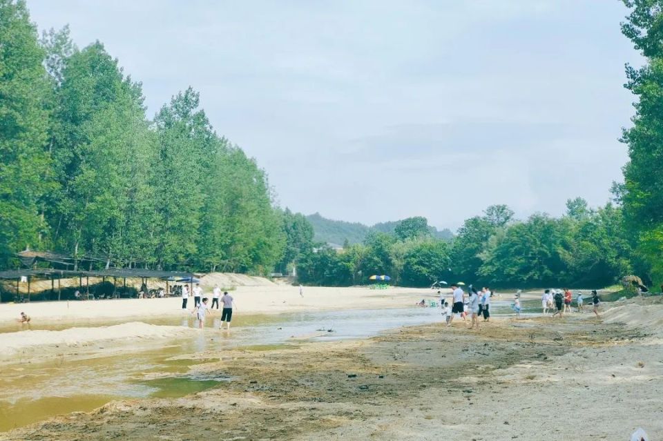 西海固金沙滩图片