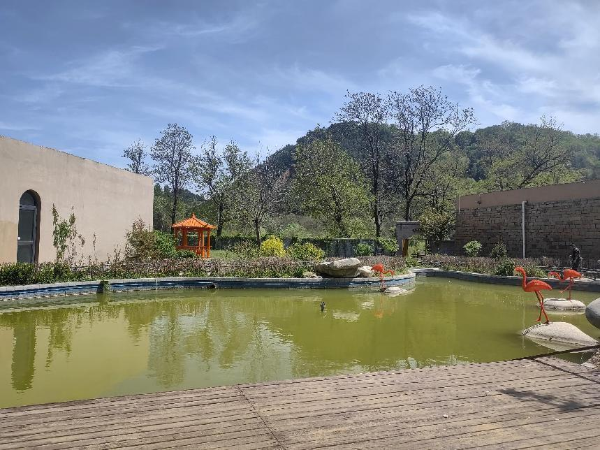 5·19中国旅游日,洛川这些景点值得一去!攻略送上