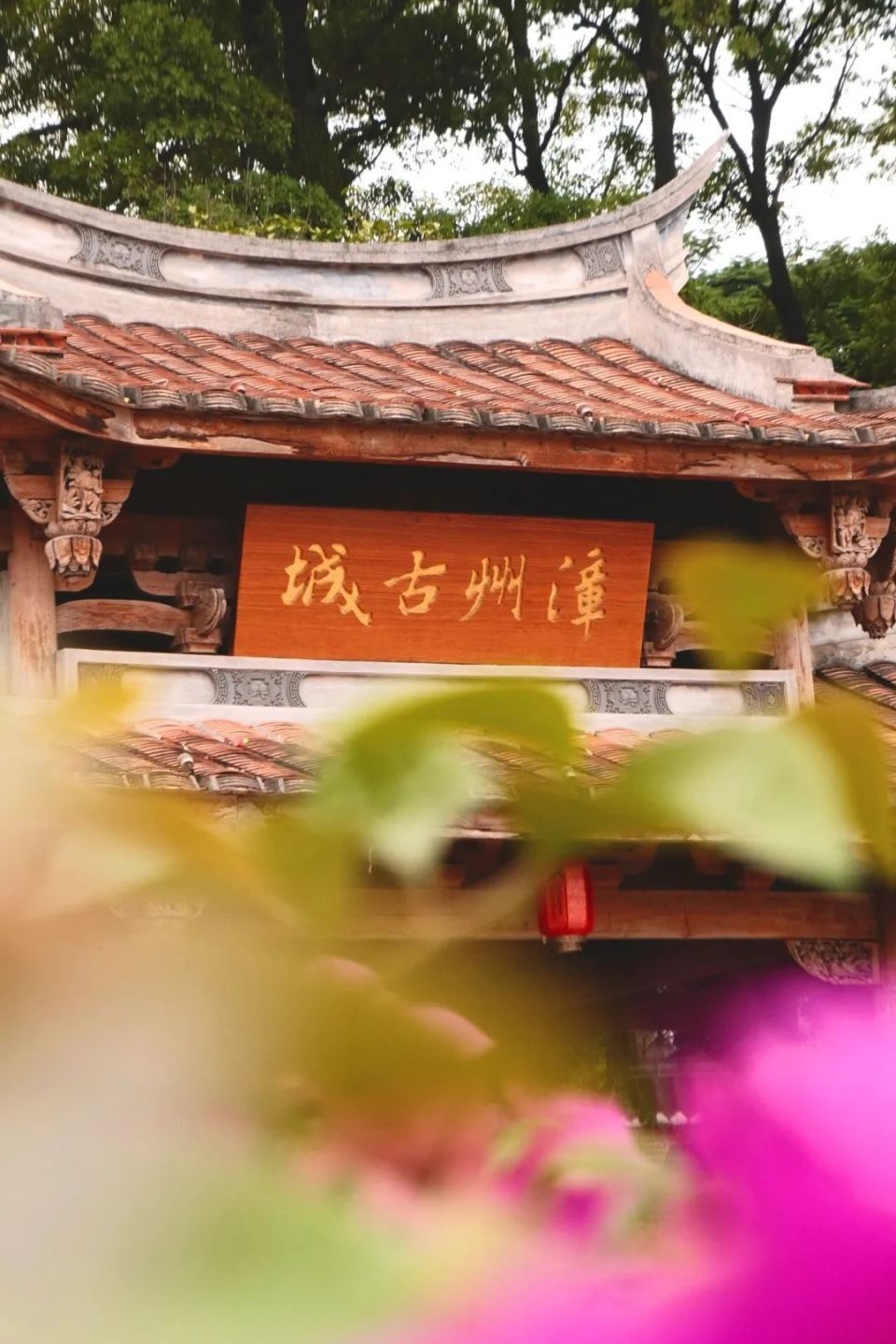 被土楼带火的海滨老城,好吃好玩节奏慢,安逸得想让人在这里定居!