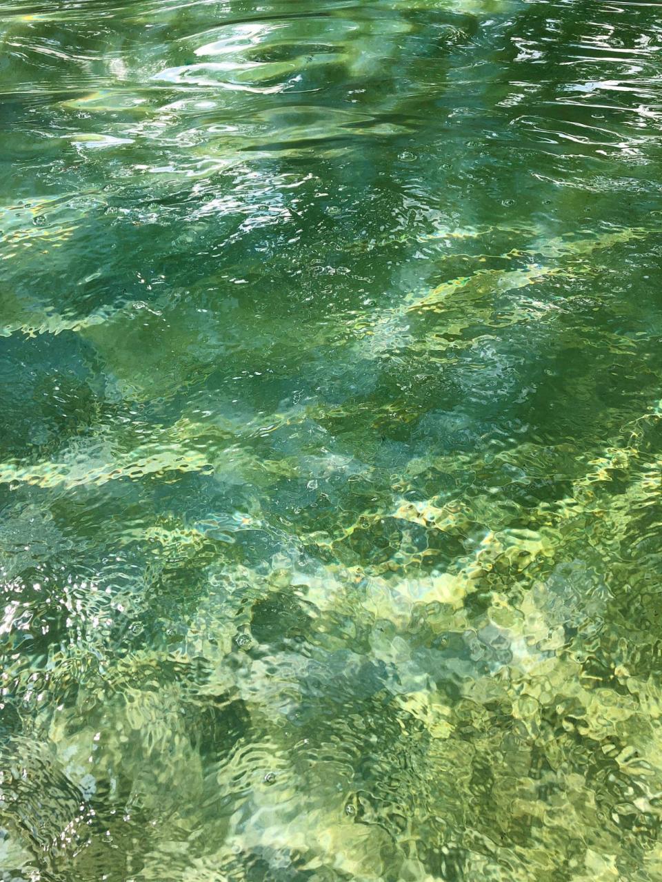 夜读丨书中自有清凉地,请收下这份"夏日书单"