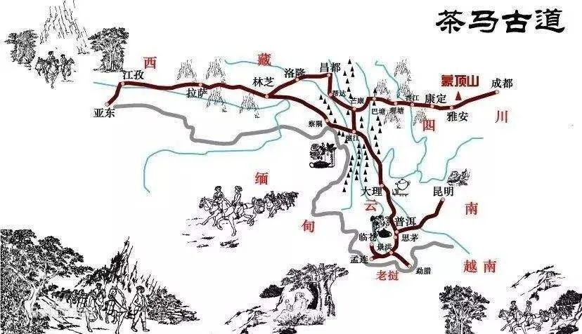 云茶之"风"丨茶马古道是怎么走出来的?_腾讯新闻