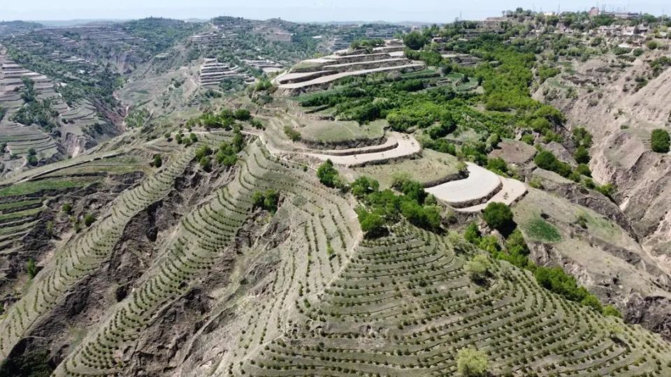 龙泉镇:以生态画笔绘出秀美家园