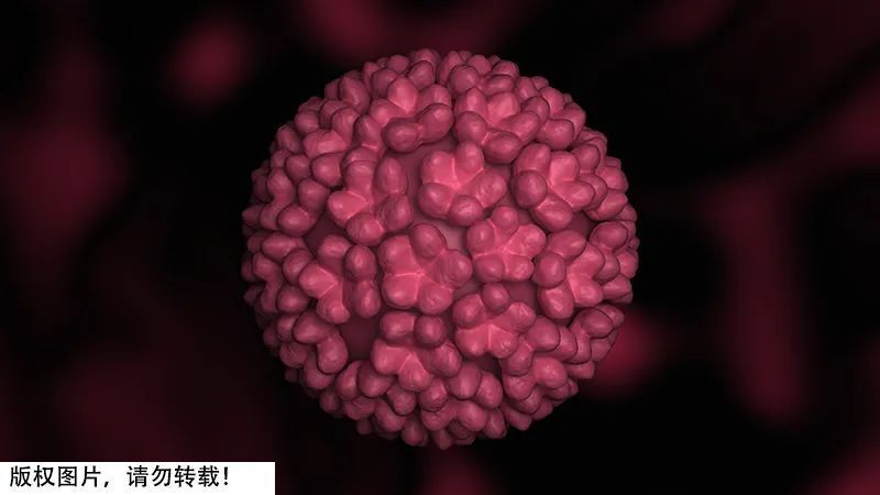 注意！身上这些疣跟HPV感染有关_腾讯新闻