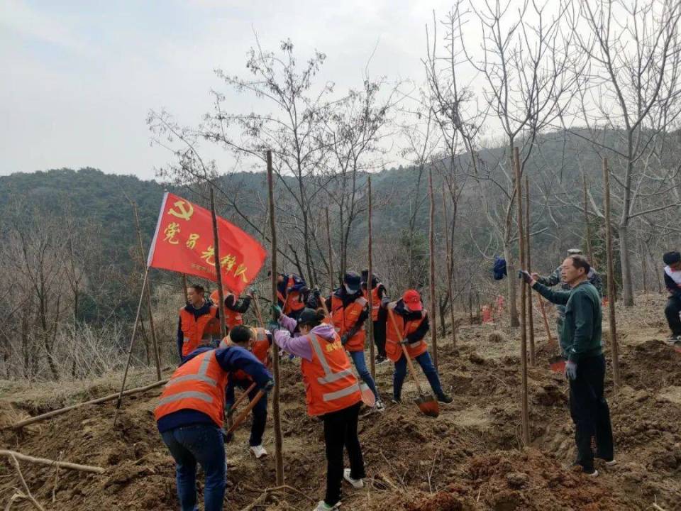 柳埠林场图片