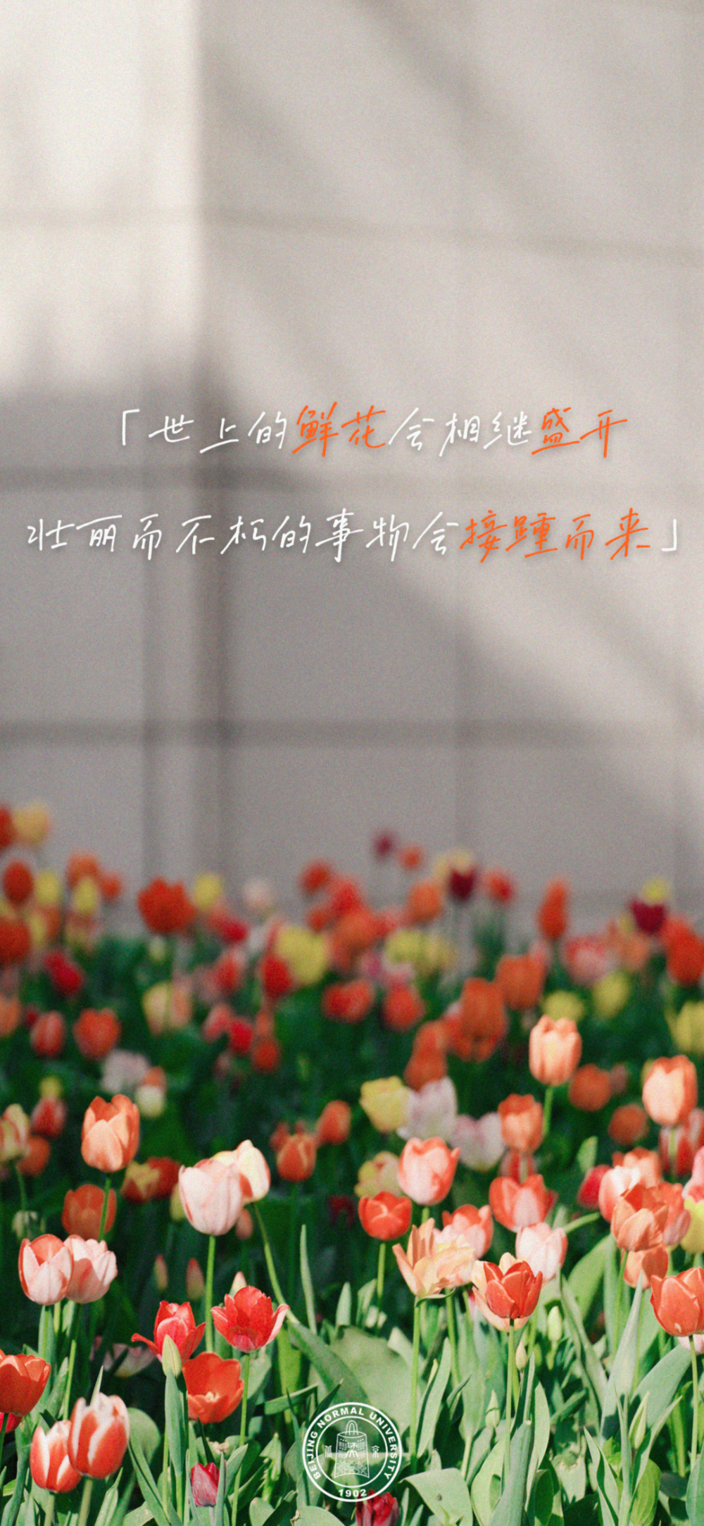 你不孤单!送给贵州2024高考同学的祝福