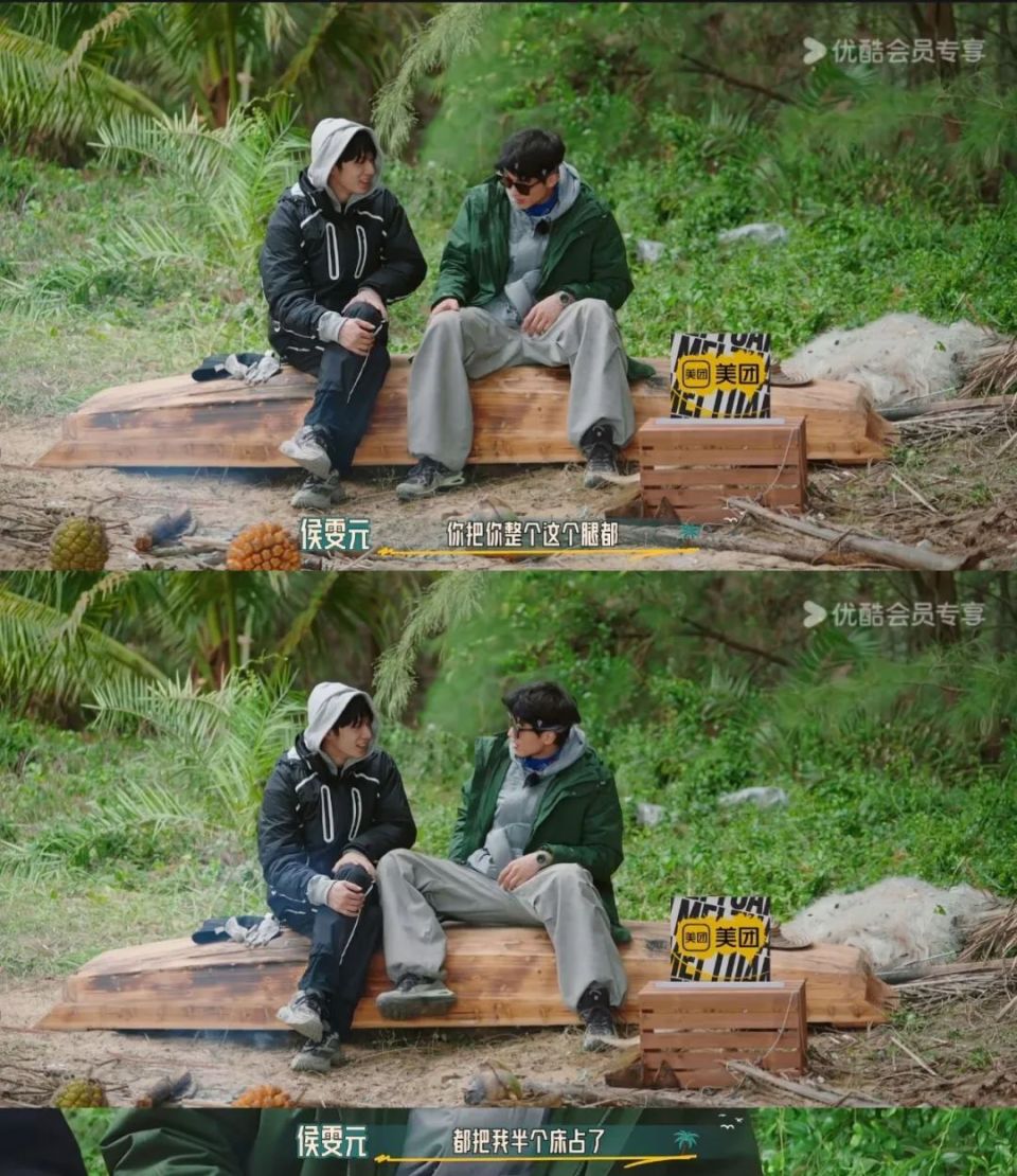 内娱无代餐的"岛综",靠什么撑起收视率?