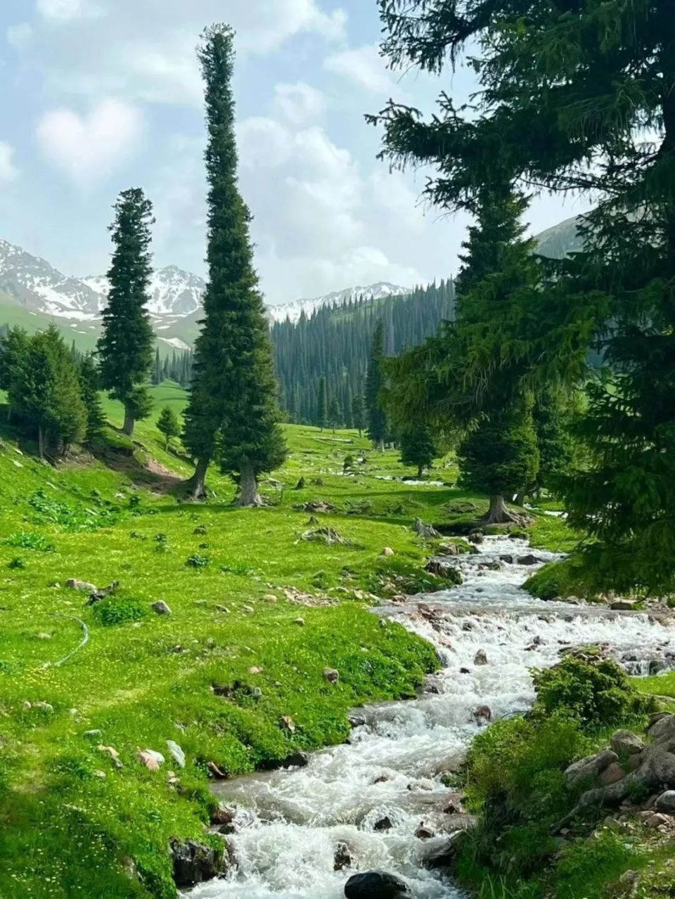 2000年之后,那拉提旅游业开始步入发展期,而那拉提景区也由此应运而生