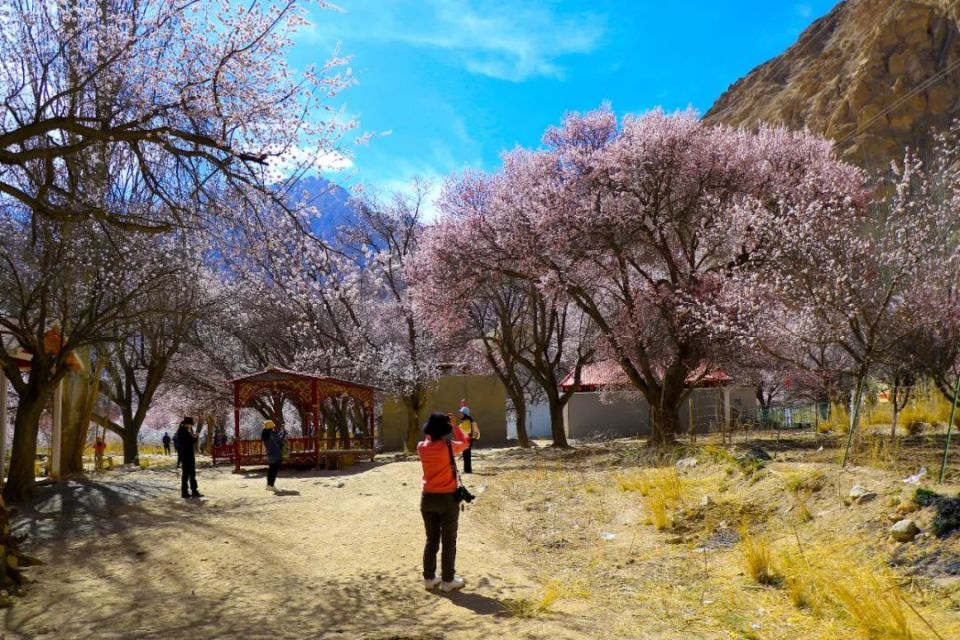 当秋天来临时,乡镇的大片树林穿着金黄的外衣牛羊悠闲地吃着青草,远处