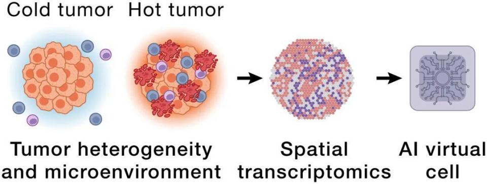 Cell：AI虚拟细胞，生命科学的“终极沙盘”？_腾讯新闻