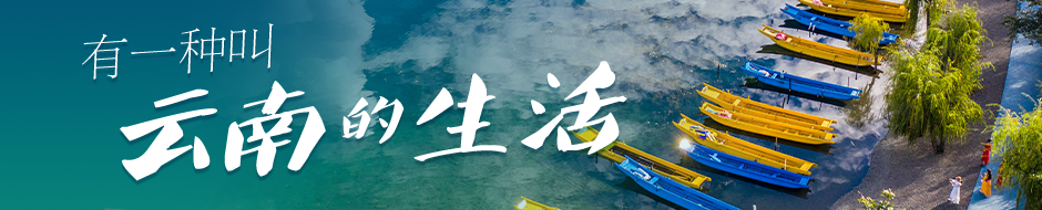 这场“雨”，有点绿丨有一种叫云南的生活之365天_腾讯新闻