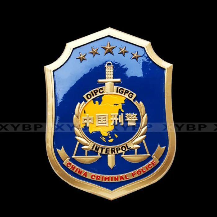 我是刑警:刑侦剧里的真实与热血