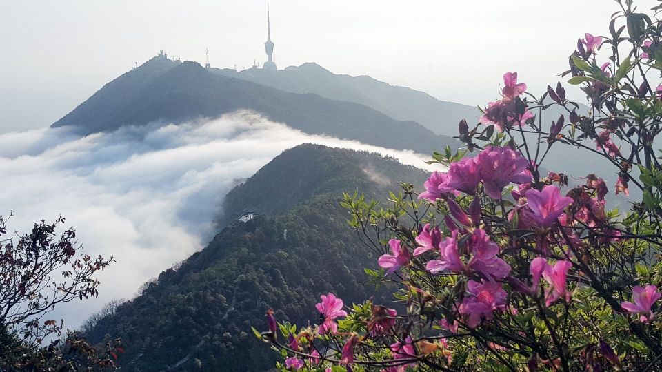 2022好看的风景图图片