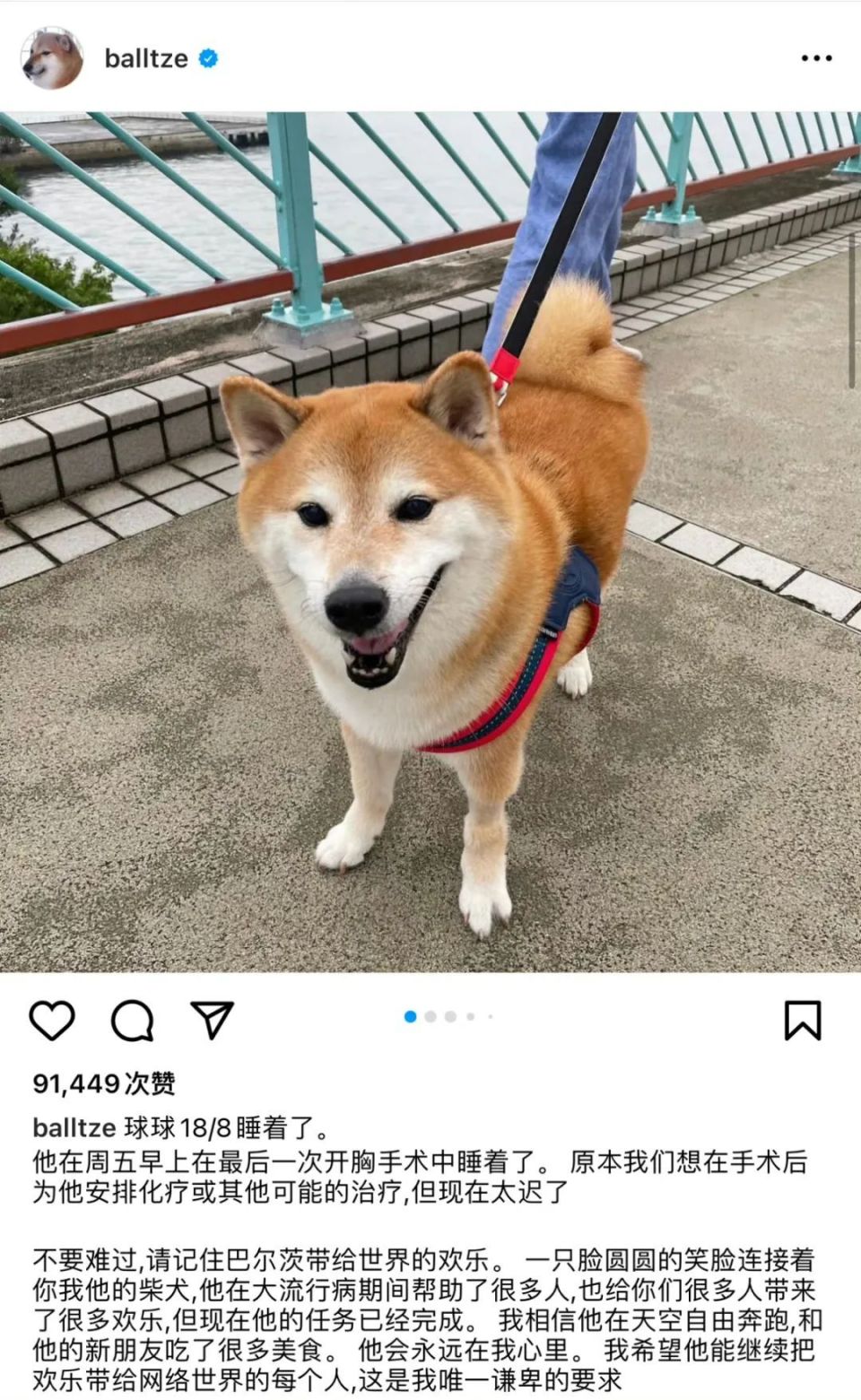 太突然！确认手术中去世，粉丝遍布全球-腾讯新闻