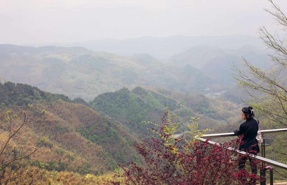 余姚鹿亭:特色生态产业助富百姓