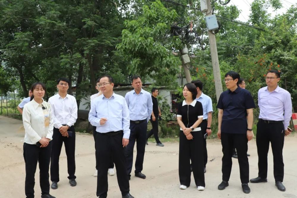 淮阳区委书记张建党暗访督导农业农村工作