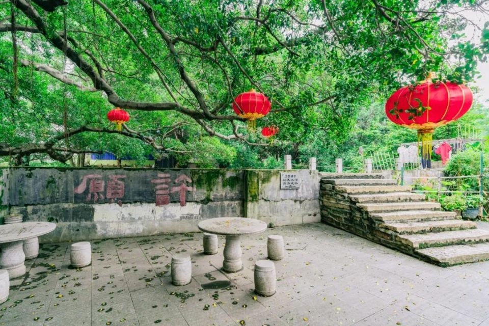 "四小园"飘出咖啡香!狮山百年古村吸引青年返乡创业