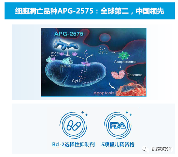 亚盛医药：Bcl-2选择性抑制剂（APG-2575）里程碑进展不断推进，有望于2025年国内获批上市_腾讯新闻