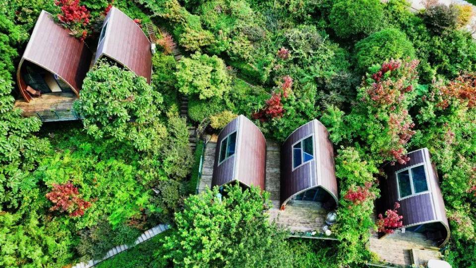 川西红枫岭景区住宿图片