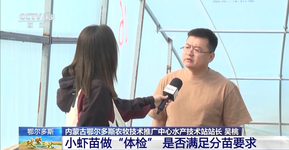 内陆也能养海产 他们在盐碱地给"大海虾"安家