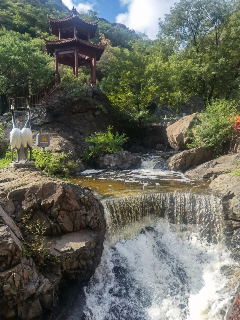 雨后鹤伴山美出新高度!