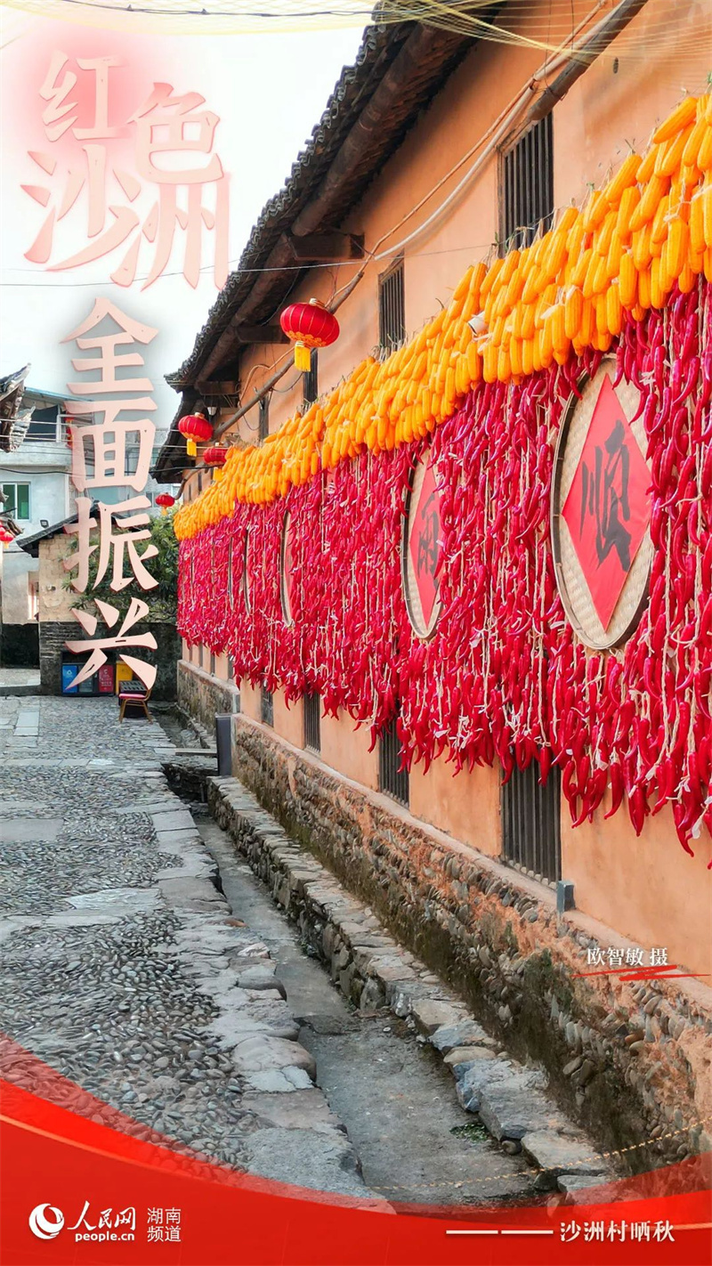 大湖之南|湖南答卷·红色沙洲全面振兴_腾讯新闻