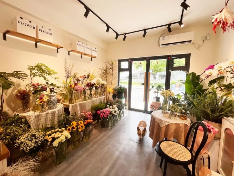 这几家网红花店太好看了