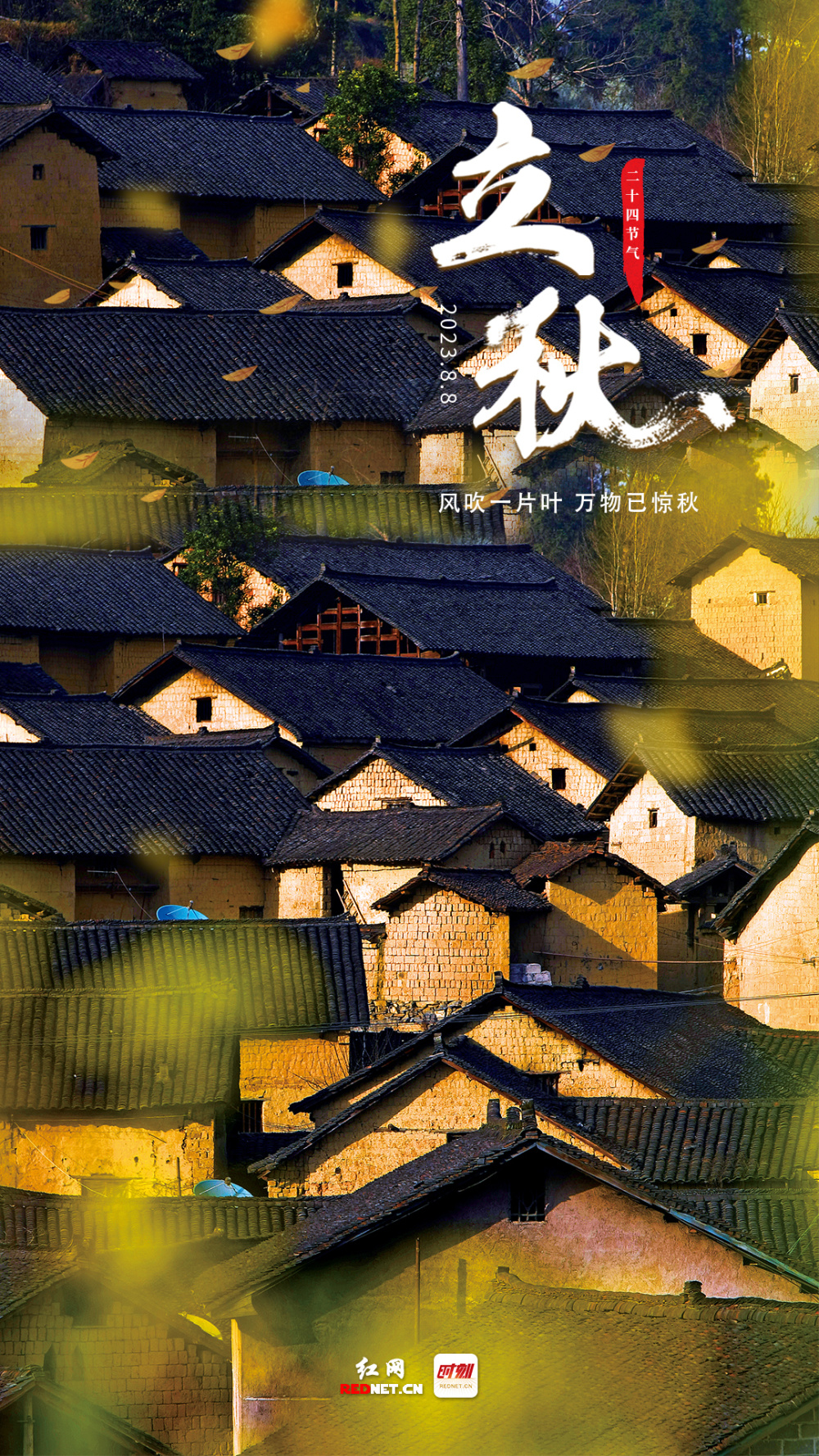 海报丨立秋暑热未消禾谷成熟