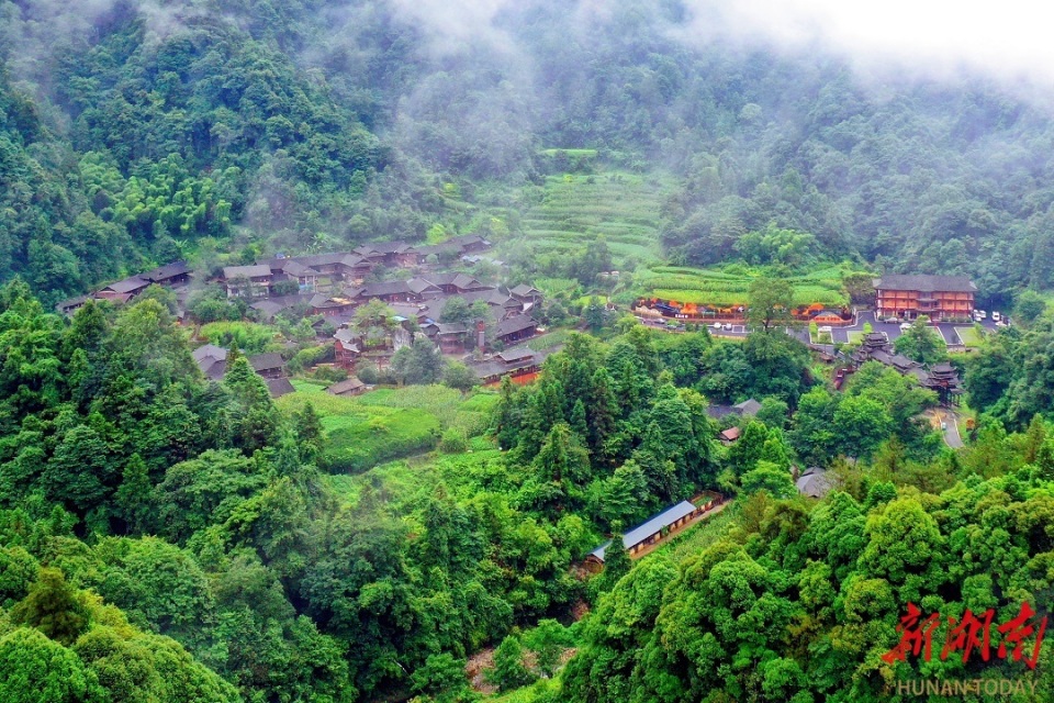 沅陵借母溪乡:生态文旅绘锦绣画卷 特色产业织振兴胜景