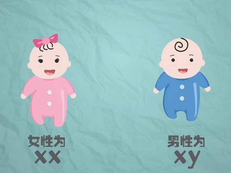 羡慕!美国试管婴儿可以选择男女性别吗"龙凤呈祥"-第2张图片-琳惜网