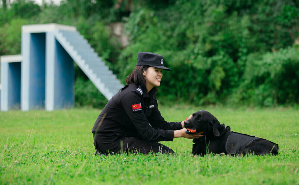 北京女子警犬队图片