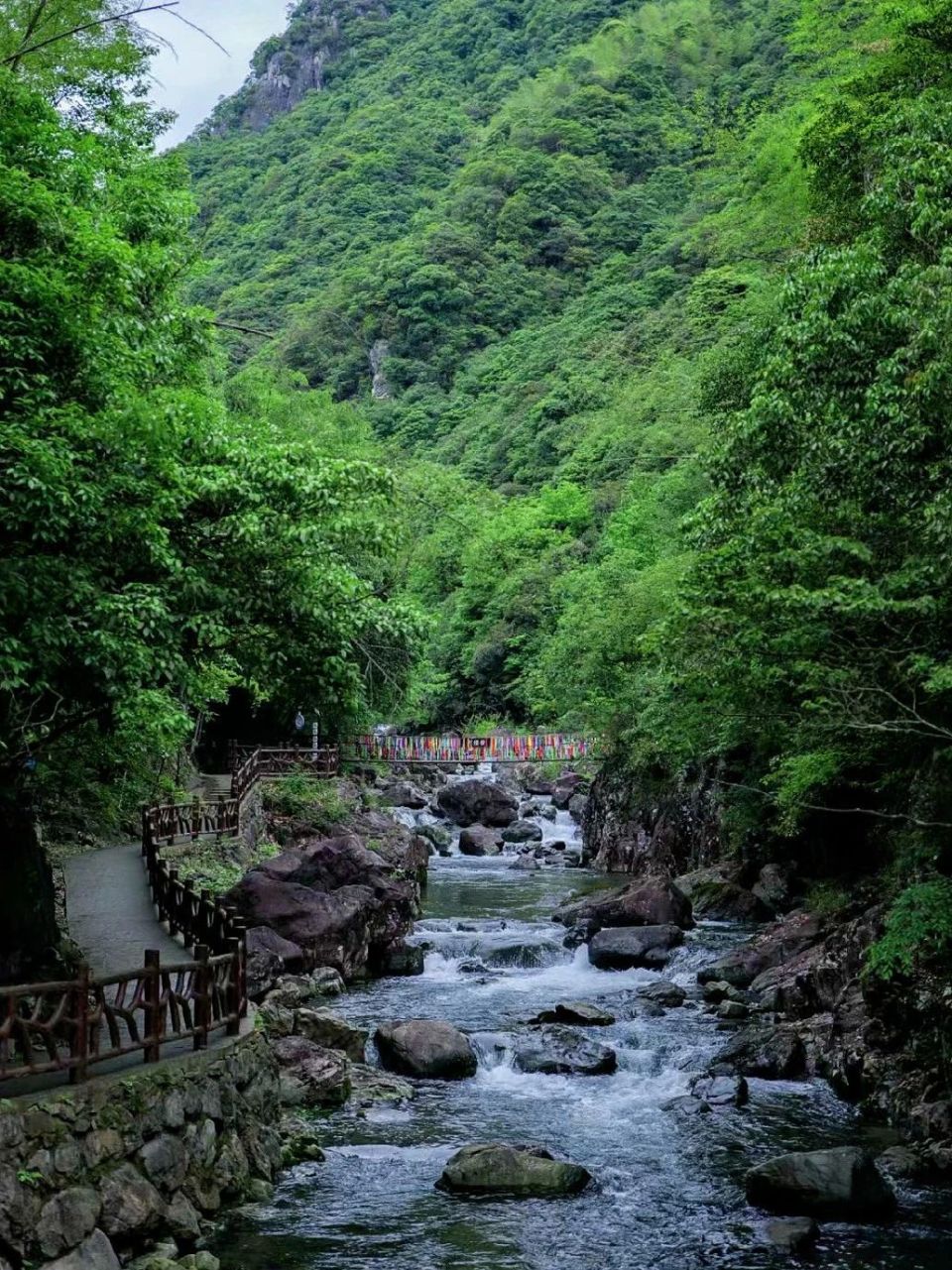 培训名称茶艺师怎么取_培训名称茶艺怎么取_茶艺培训名称
