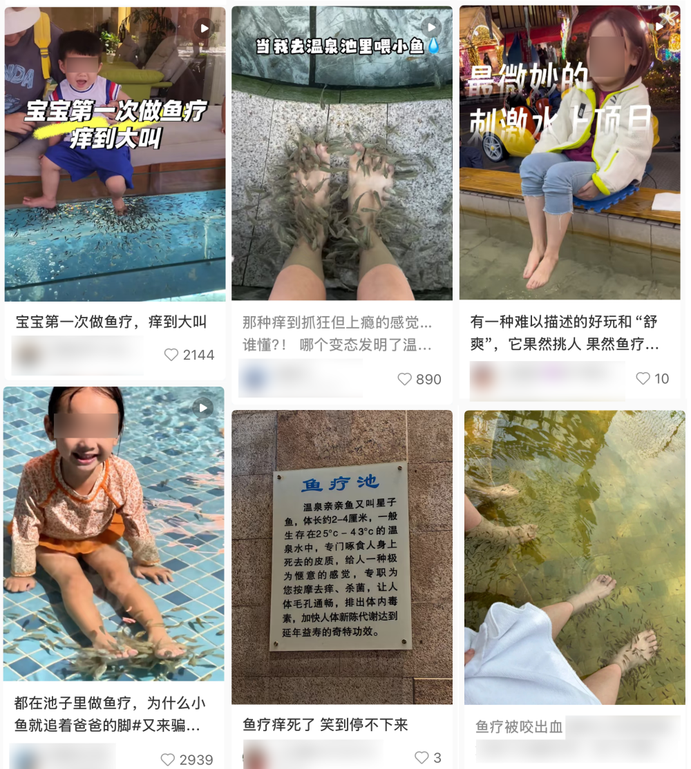 风靡全球的鱼疗，竟暗藏巨大感染风险？女子为此截掉5个脚趾