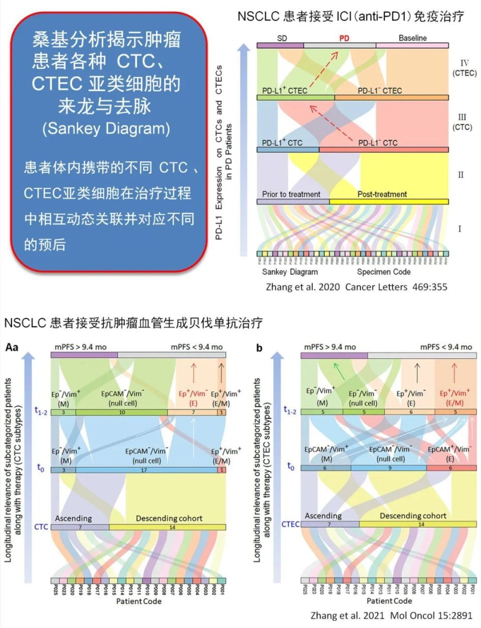 FISH怎么诊断CTCiFISH肿瘤组织与液体活检精准定位区域性癌变手术切缘及有效检测细胞型MRD_https://www.jmylbn.com_新闻资讯_第9张