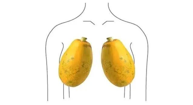 尤其是丰满的木瓜胸,看上去会有略显八字,向外生长的感觉,甚至胸距也