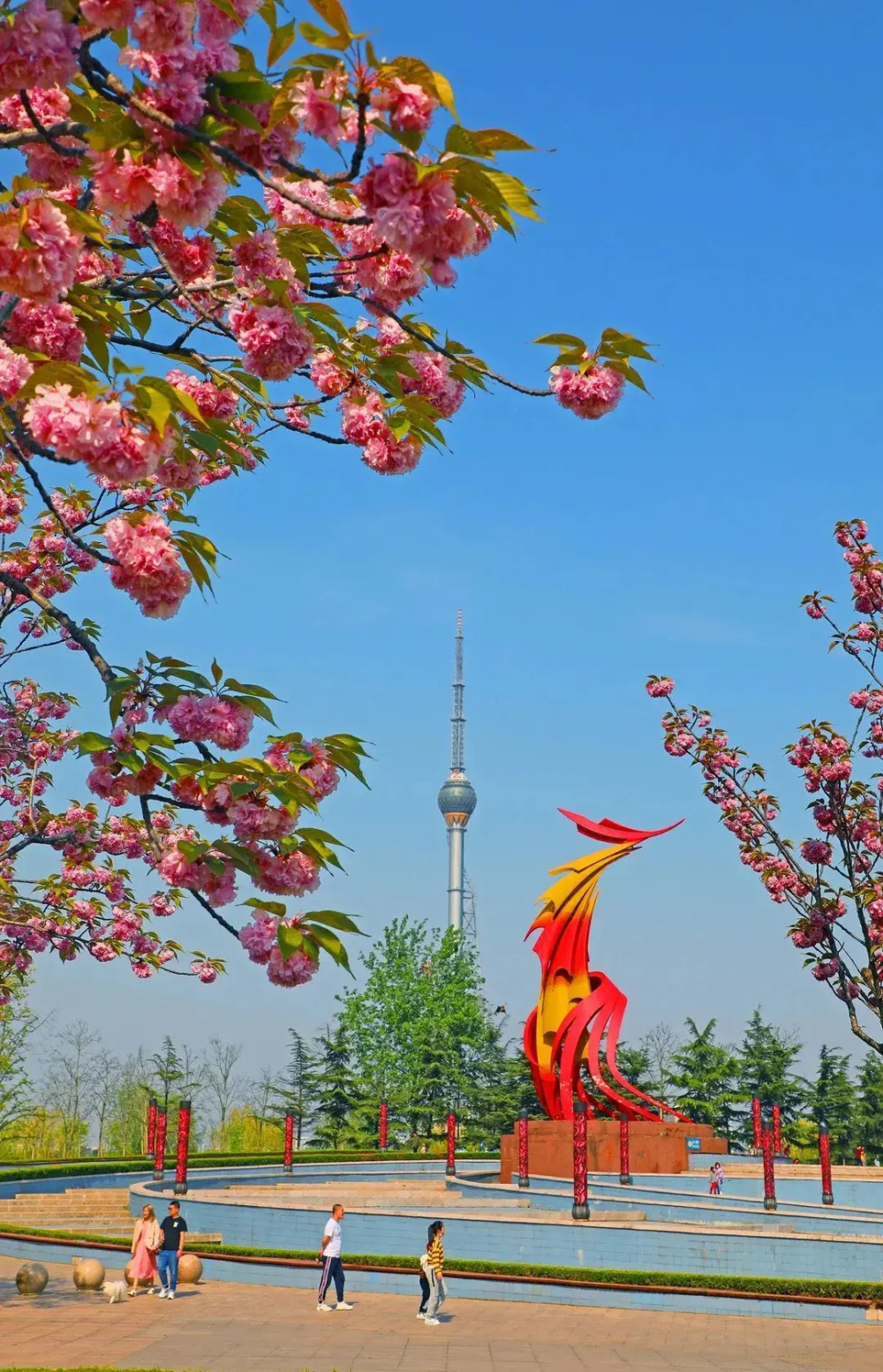 ✅临沂凤凰广场停靠站点:沂蒙路与兰山路交汇brt站台西行300米途经