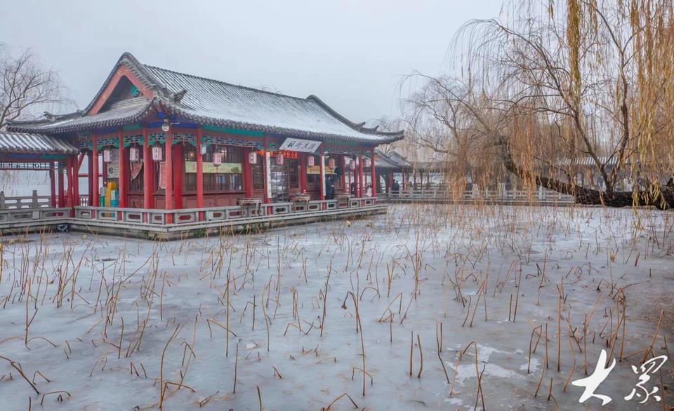 静谧宜人的大明湖,难得的冬日美景