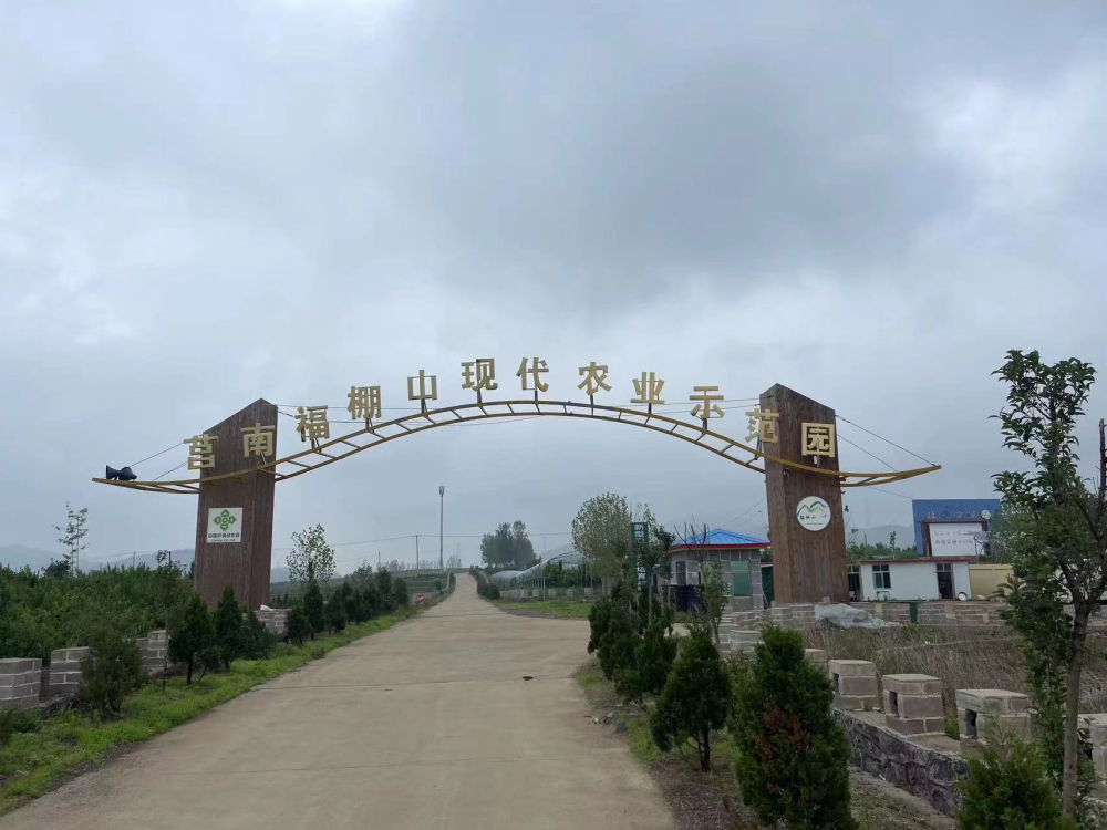 莒南县文疃镇陈家岭村:头雁领航,致富有方_腾讯新闻