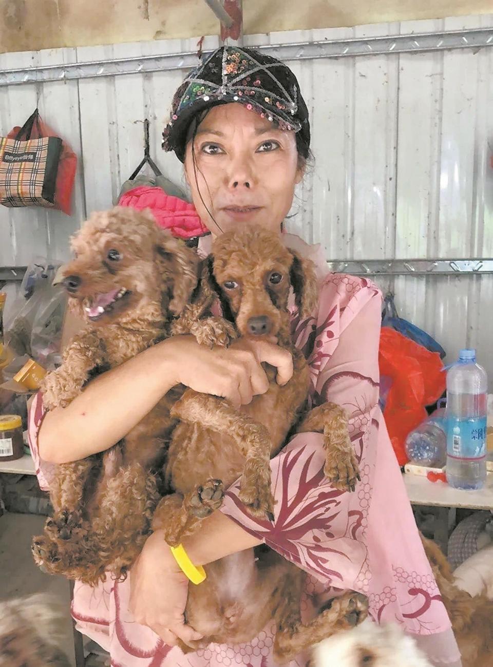 羊城晚报全媒体记者 谭洁文 实习生 彭可嘉 通讯员 杨明伟在志愿者兰