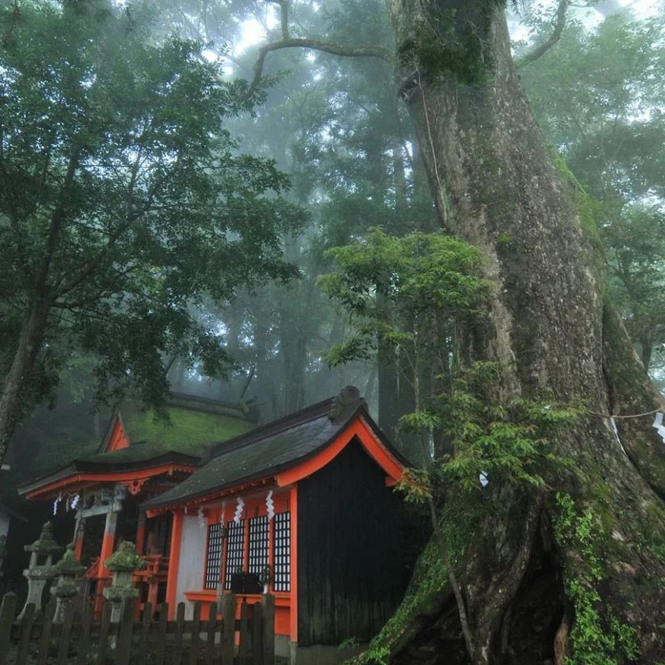 那智瀑布金刚峰寺金刚峰寺山门高野山密集分布着超过117座寺院,可谓是