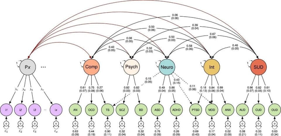 精神与身体疾病遗传相关性示意图