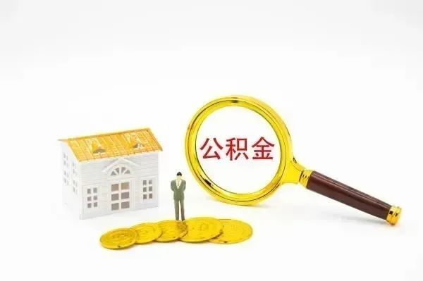 乐鱼网登录入口安全防护架构图片
